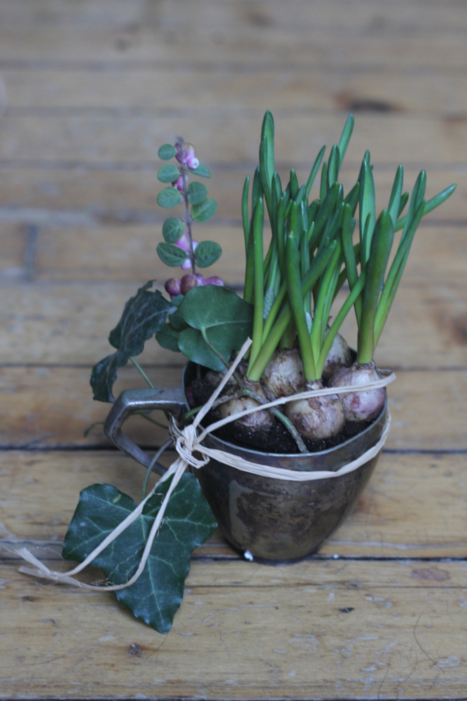 Bollen en hergebruik voor vroege bloemen