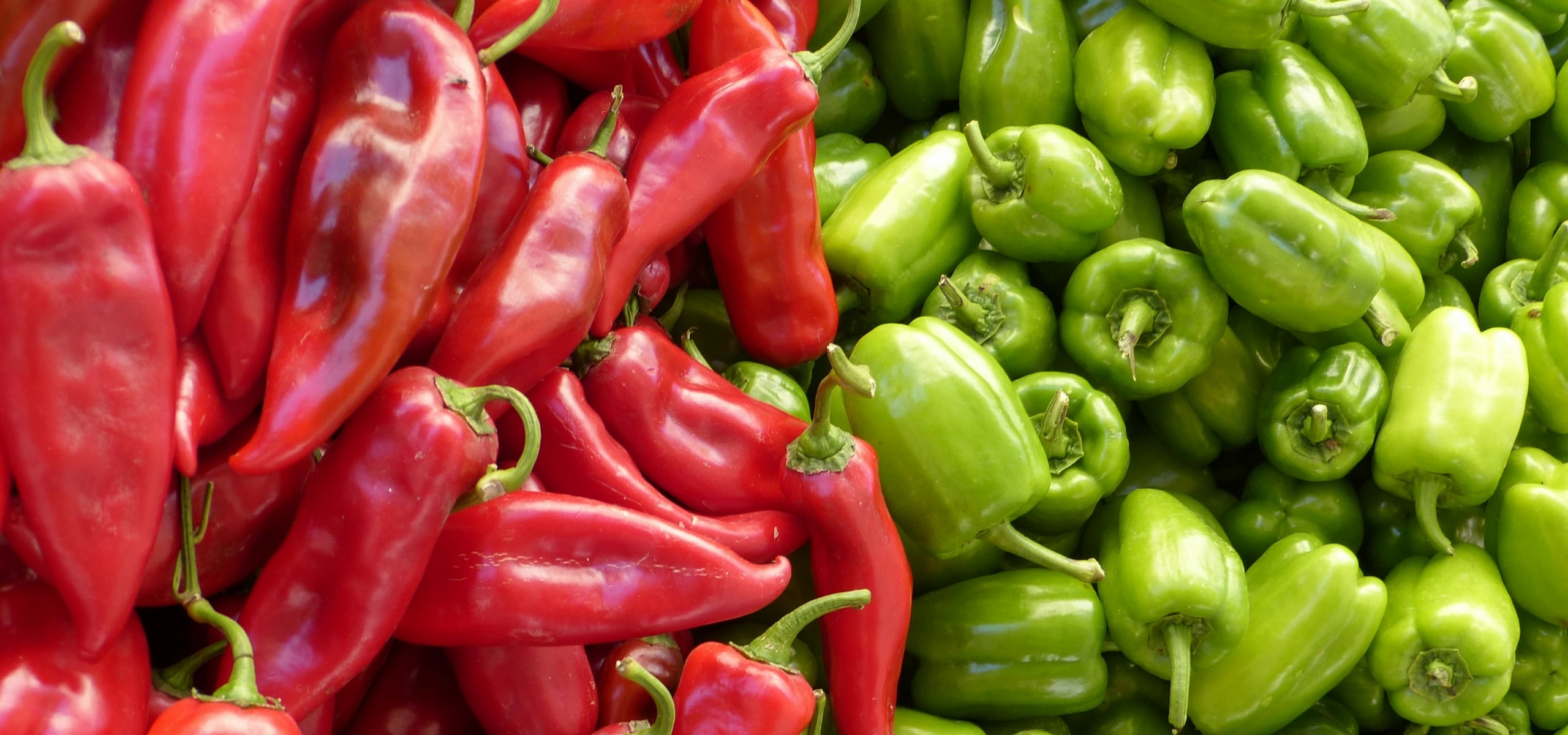 Pikante pepers en paprika succesvol kweken