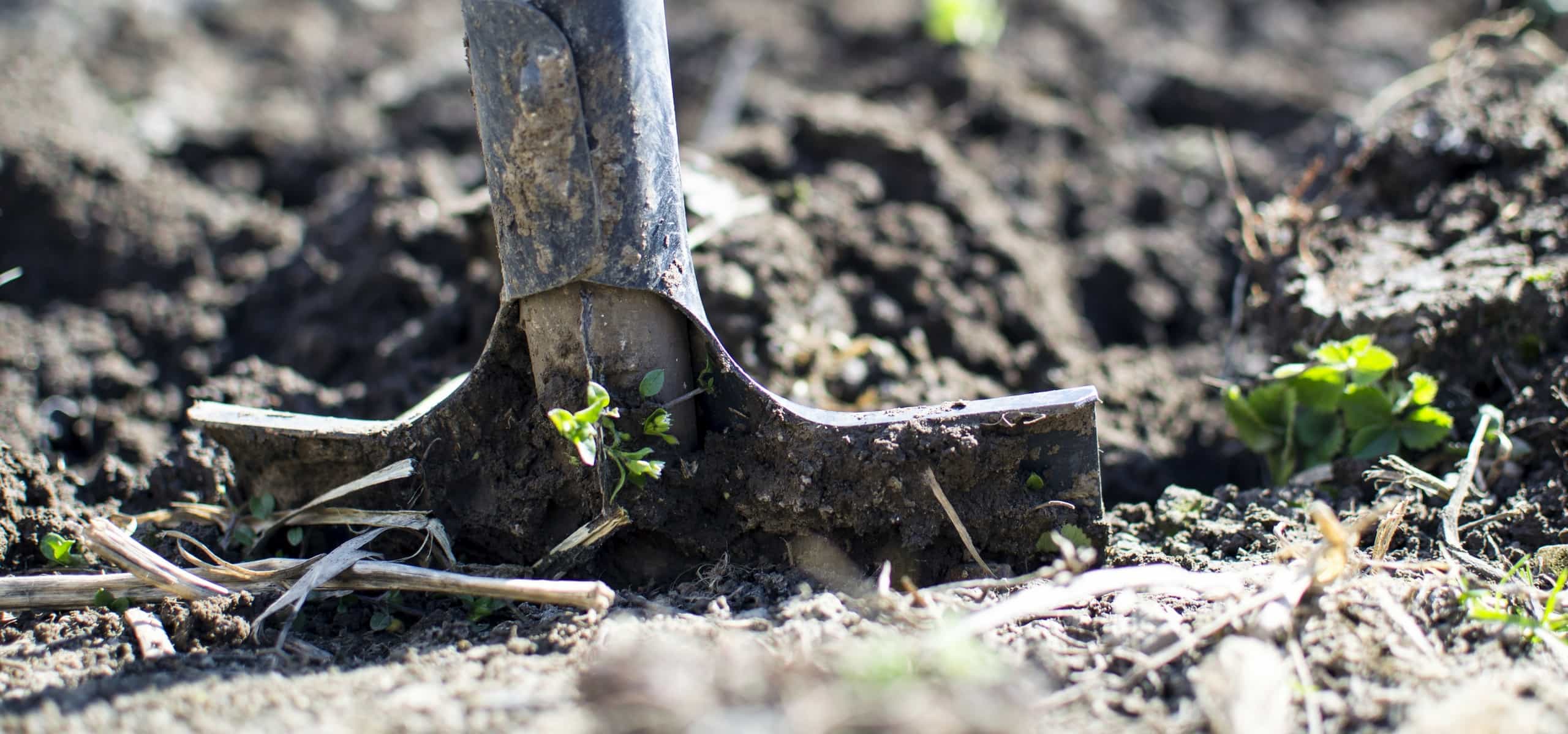 De bodem op natuurlijke wijze voeden