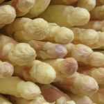 Succesvol asperges telen