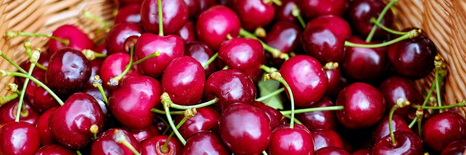 Fruit uit eigen tuin bewaren