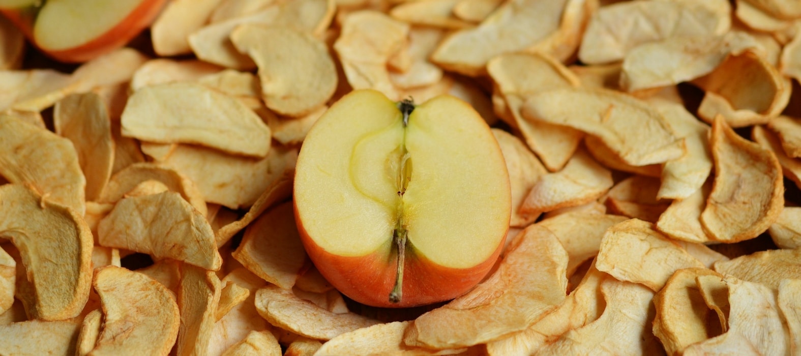 Fruit uit eigen tuin drogen