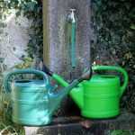 De moestuin goed water geven in de zomer