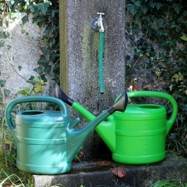 De moestuin goed water geven in de zomer