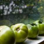 Wat te doen met groene tomaten?