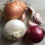 Knoflook, ui, sjalot… In februari in de moestuin!