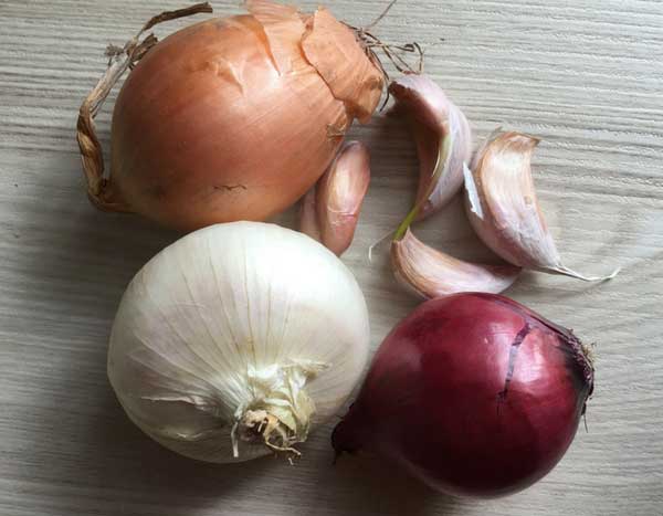 Knoflook, ui, sjalot… In februari in de moestuin!