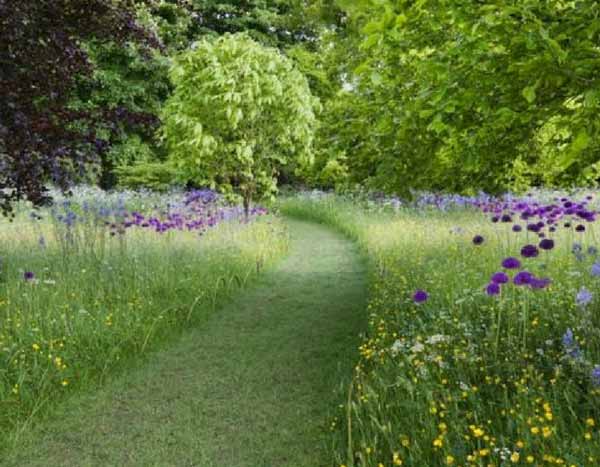 Onderhoudsvrije tuin: tips, trucs en geschikte planten