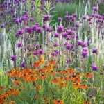 Bloemenborder: varieer en mix verschillende vormen!