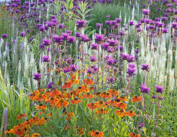 Bloemenborder: varieer en mix verschillende vormen!