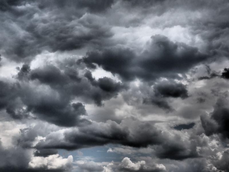Storm en tuin: wat te doen voor en na?