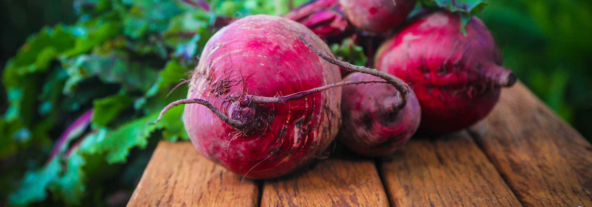 Biet: zaaien, planten, telen en oogsten