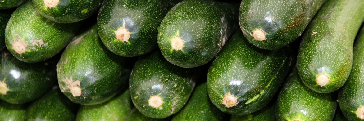 Courgette zaaien, planten en telen in de moestuin
