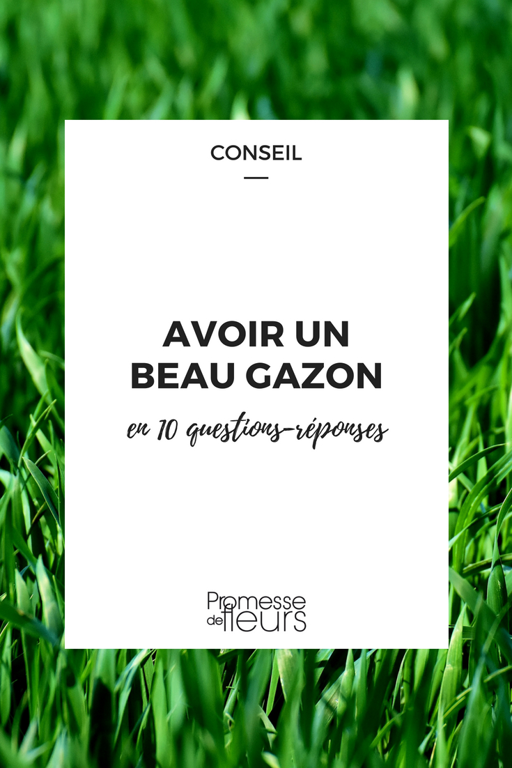 Mooi gazon zonder onkruid? Wanneer gras zaaien, hoe onderhoud, maai en renoveer je het zonder alles opnieuw aan te leggen? Onze tuinexperts beantwoorden al je vragen over gazon!