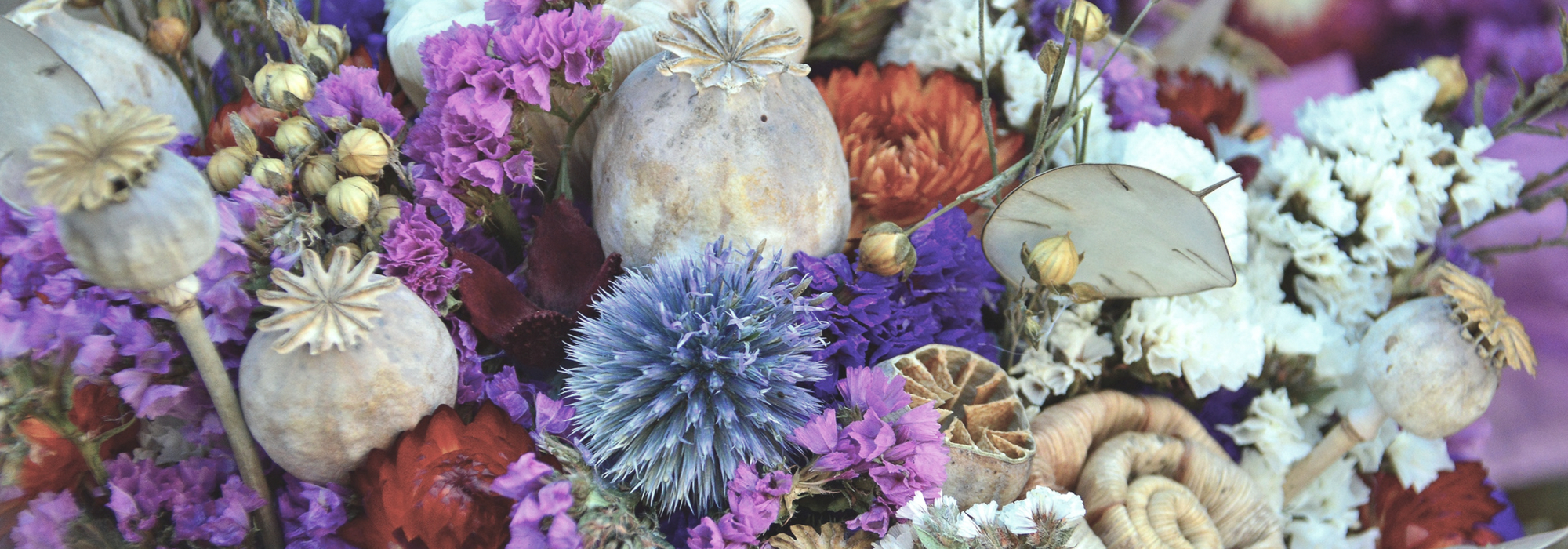 Gedroogde bloemen: kiezen, drogen en verzorgen
