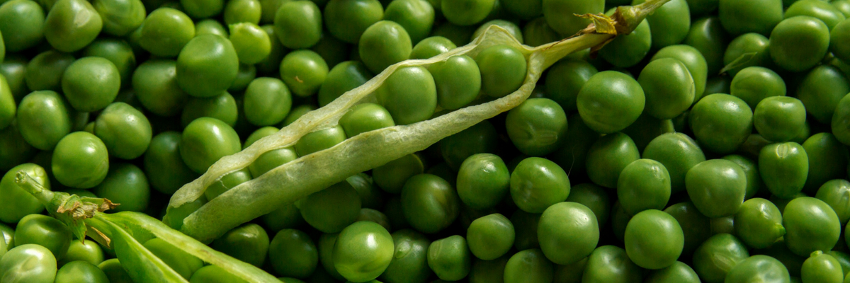 Erwten en doperwten: zaaien, telen en oogsten in de moestuin