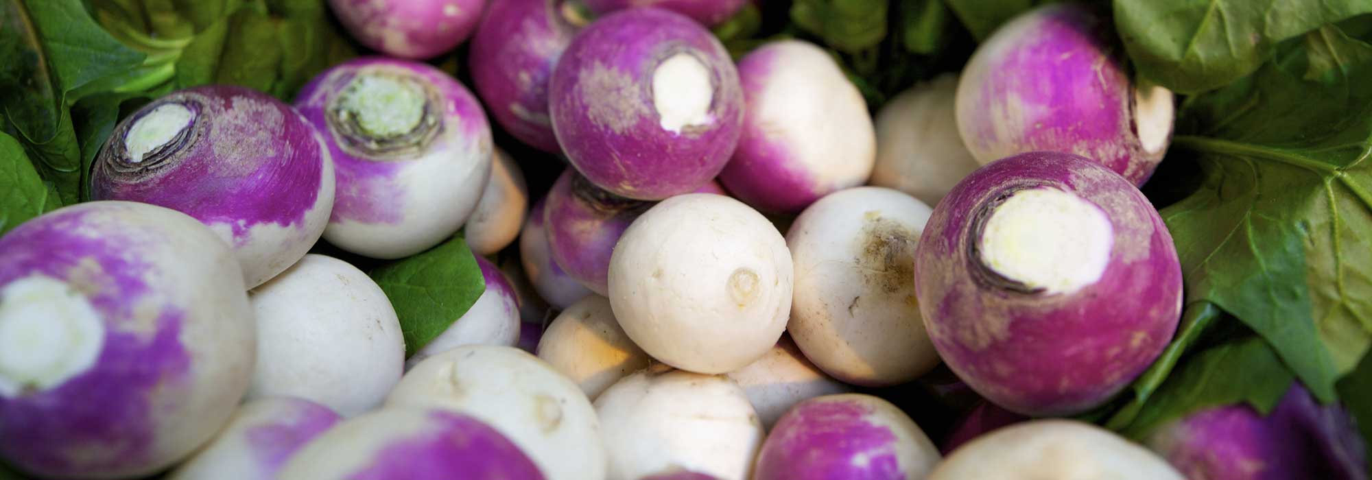 Knolraap: zaaien, teelt, onderhoud