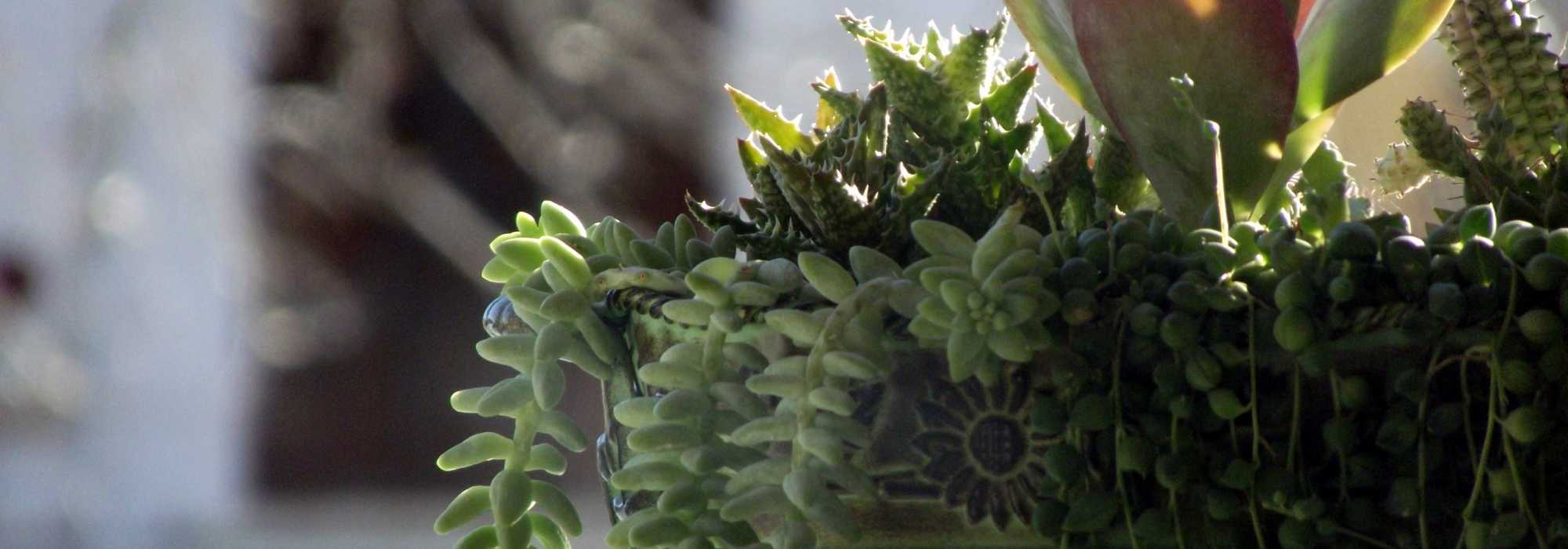 8 bloemstukken voor het kerkhof