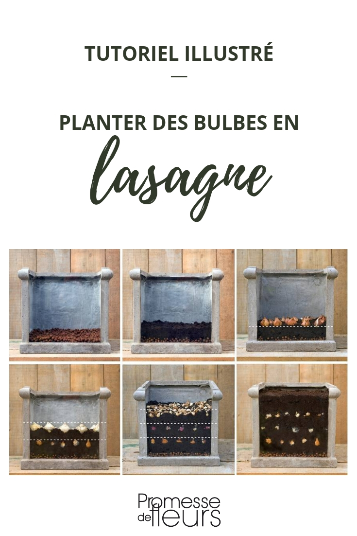 Bollen planten in pot: lasagne-techniek