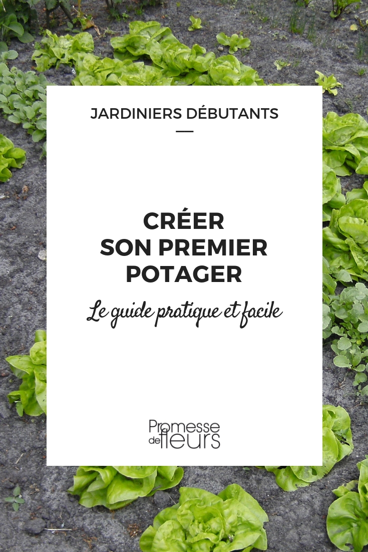 Handleiding voor je eerste moestuin