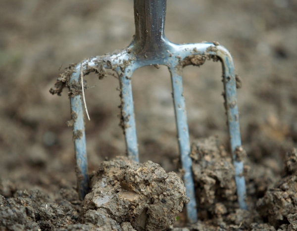 Grond omspitten: goed of slecht?