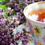 Kruidenthee en infusies: welke planten kun je in de tuin telen?