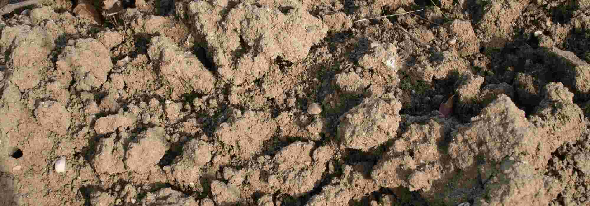 Bepaal de textuur van de bodem: klei-, zand- of leemgrond