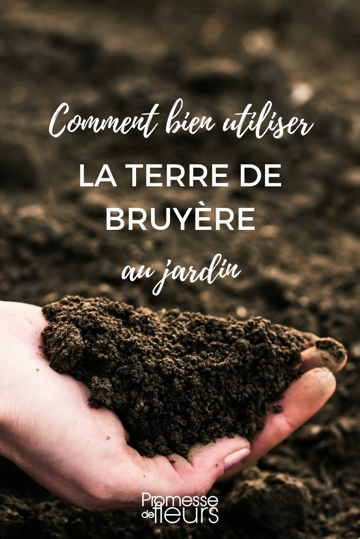 Heidegrond gebruiken in de tuin: tips