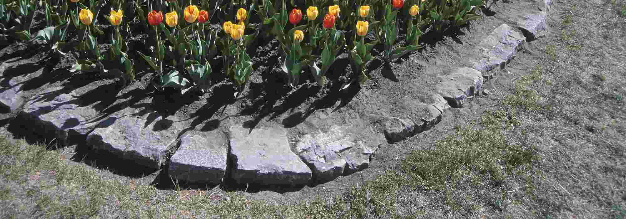 Tuinranden: oplossingen, voordelen en nadelen