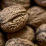 Walnoot, Juglans regia: planten, snoeien en onderhouden