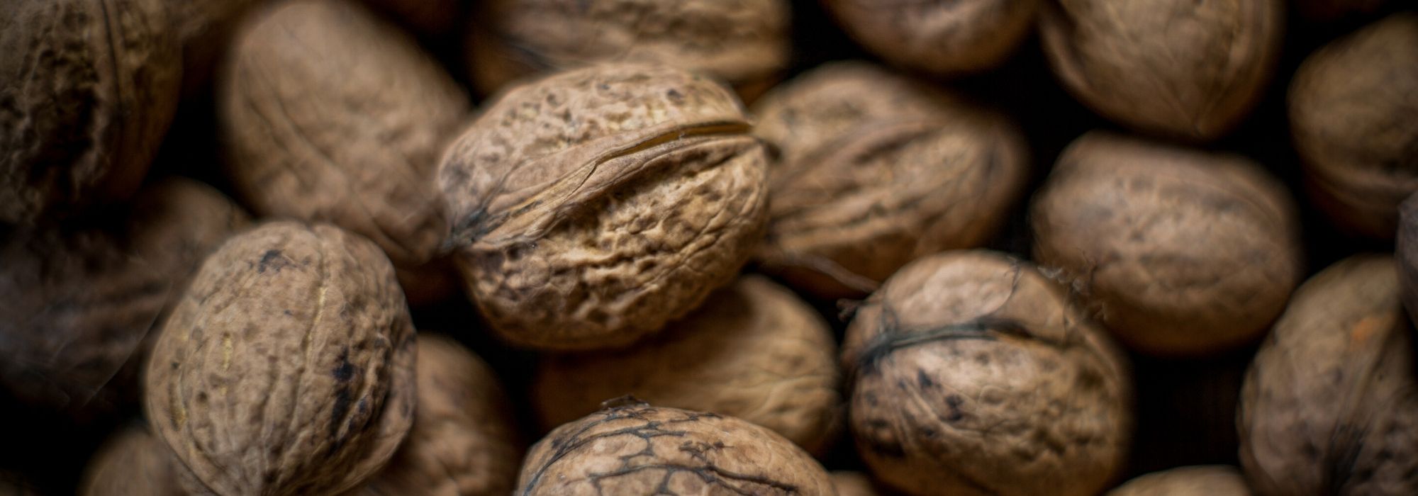 Walnoot, Juglans regia: planten, snoeien en onderhouden