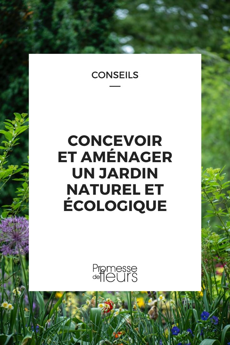 Natuurlijke en ecologische tuin: ontwerp en plantenkeuze