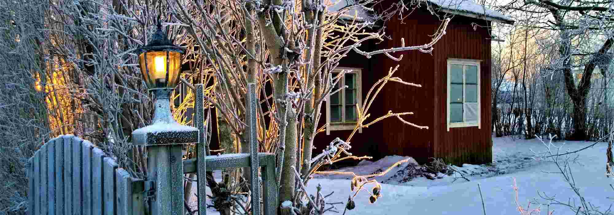 Wat te doen in de wintertuin?