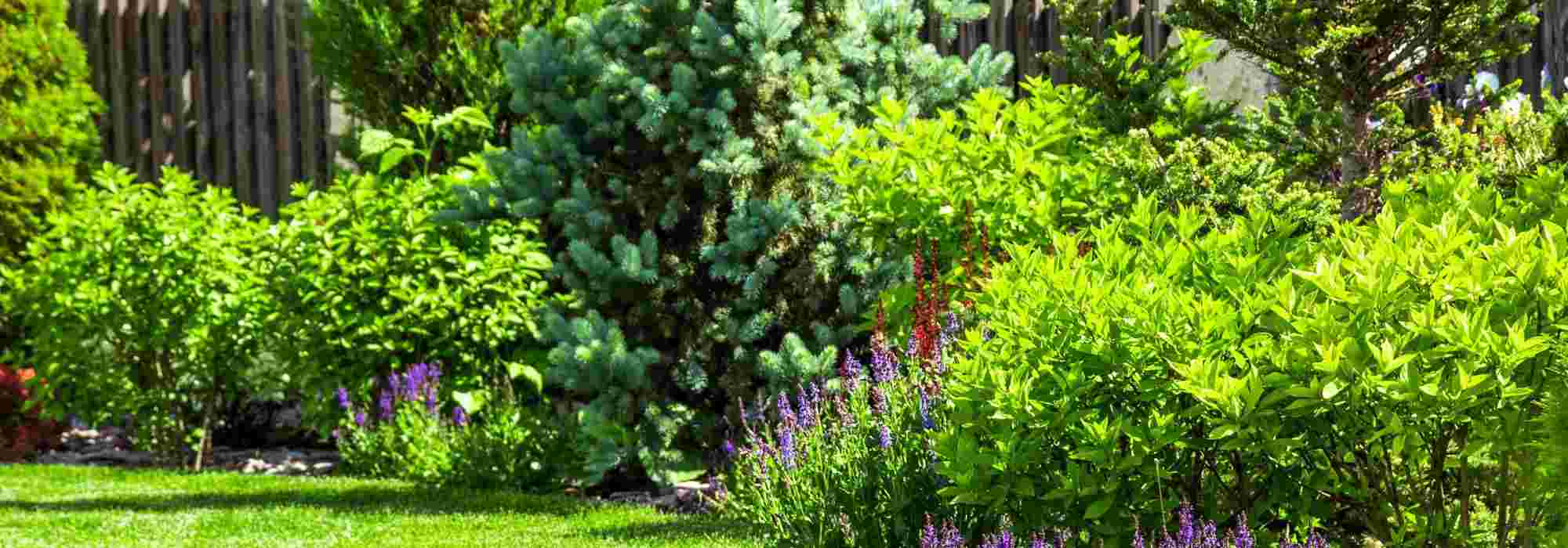 Tuin bij een nieuwbouwwijk: inrichten en personaliseren