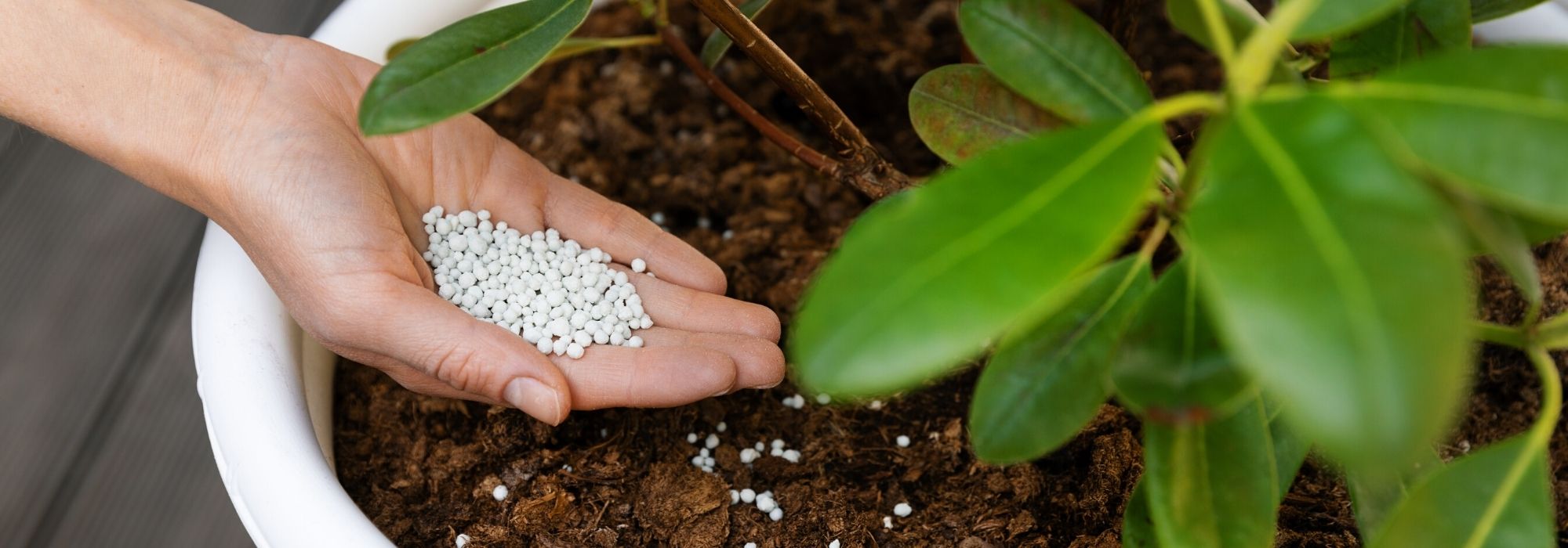 Potgrond en meststoffen voor balkon, terras en kleine tuin