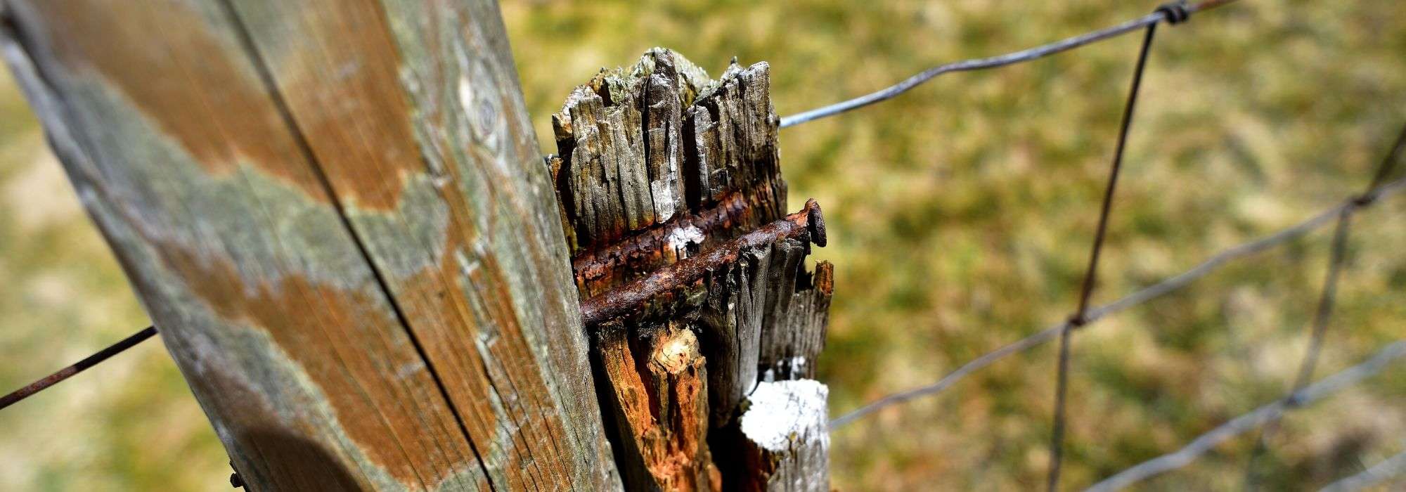 Tetanus: tuiniers, mis de herhalingsprik niet!