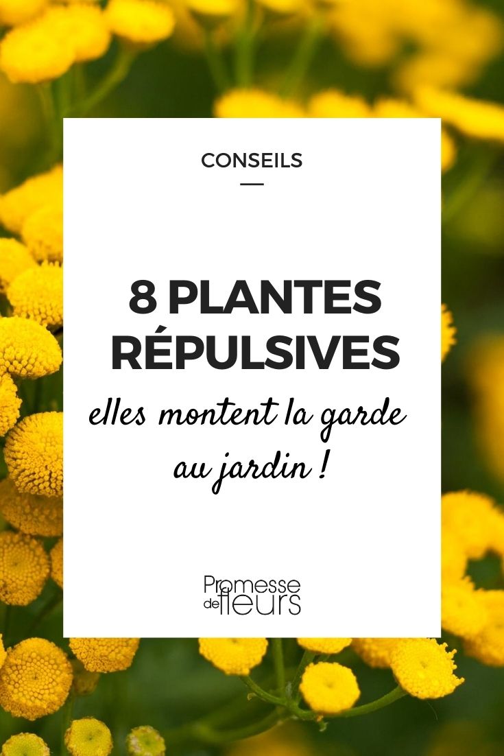 8 afstotende planten