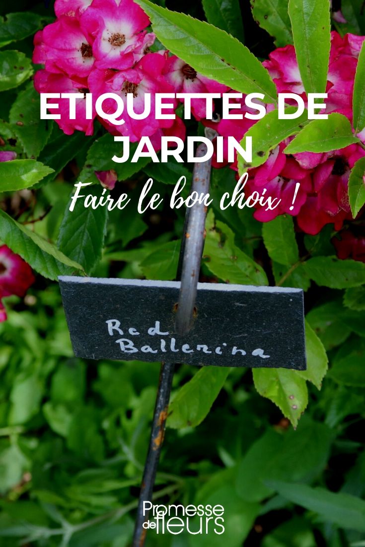 De juiste plantenlabels kiezen