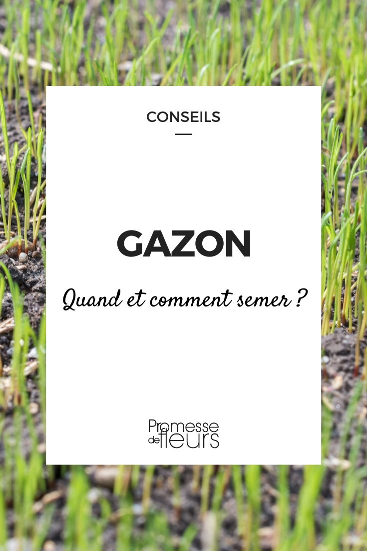 Gazon zaaien