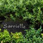Tuin: de juiste plantenlabels kiezen
