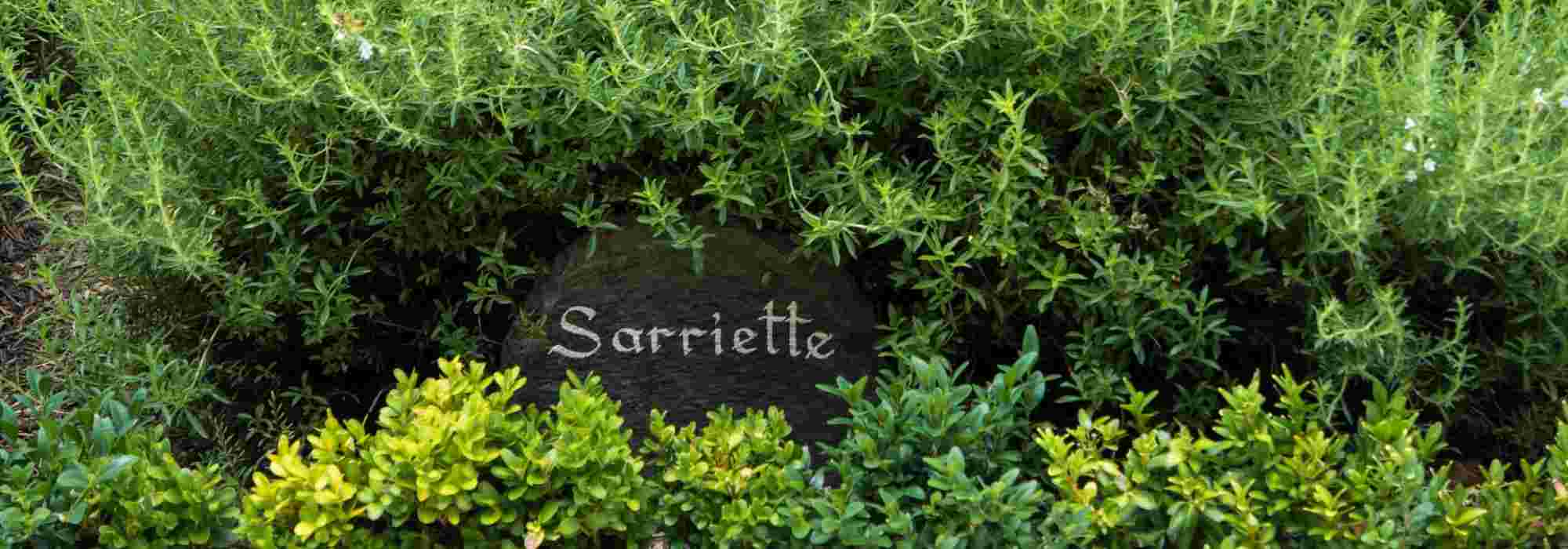 Tuin: de juiste plantenlabels kiezen