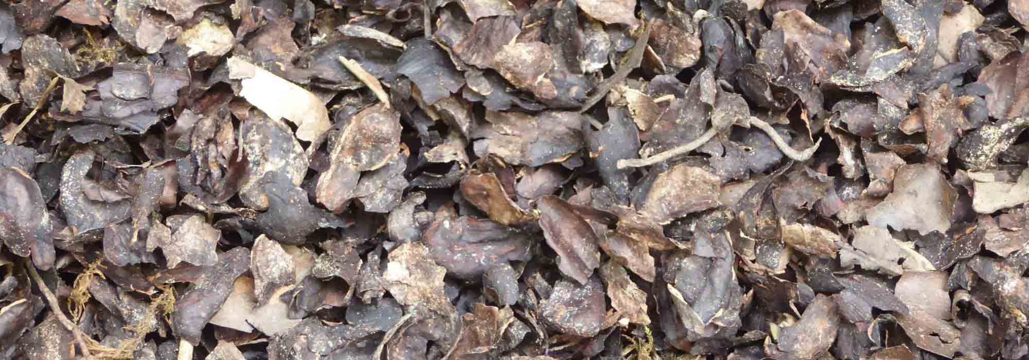 Decoratieve mulch: geeft de tuin stijl!