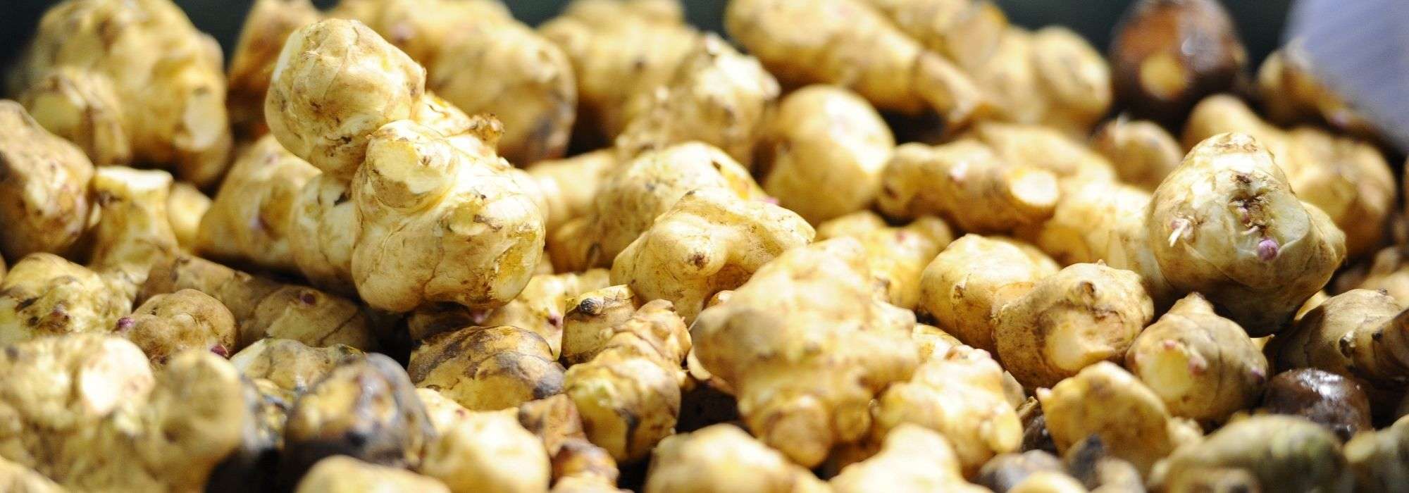 Topinamboer: planten, oogst en teelt