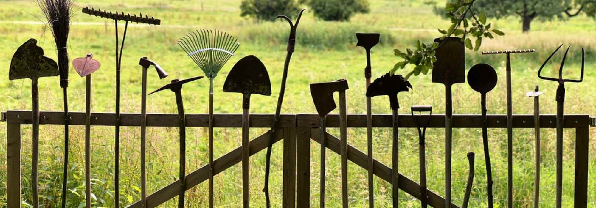8 onmisbare gereedschappen voor de moestuin