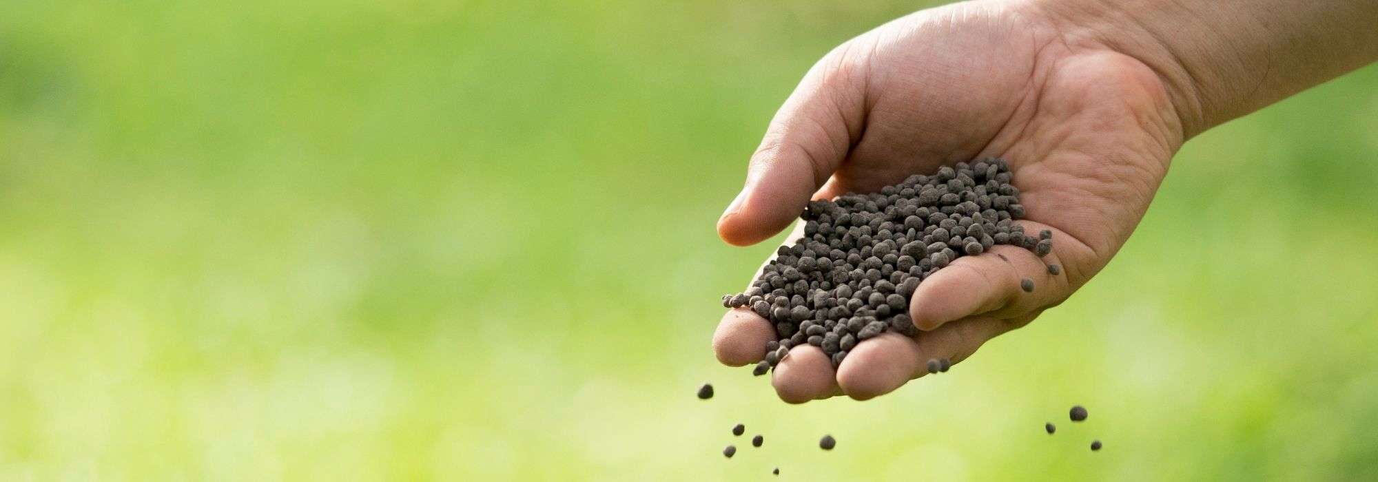 Hoornmeel, bloedmeel, guano... Waarvoor dienen deze meststoffen in de tuin en moestuin?