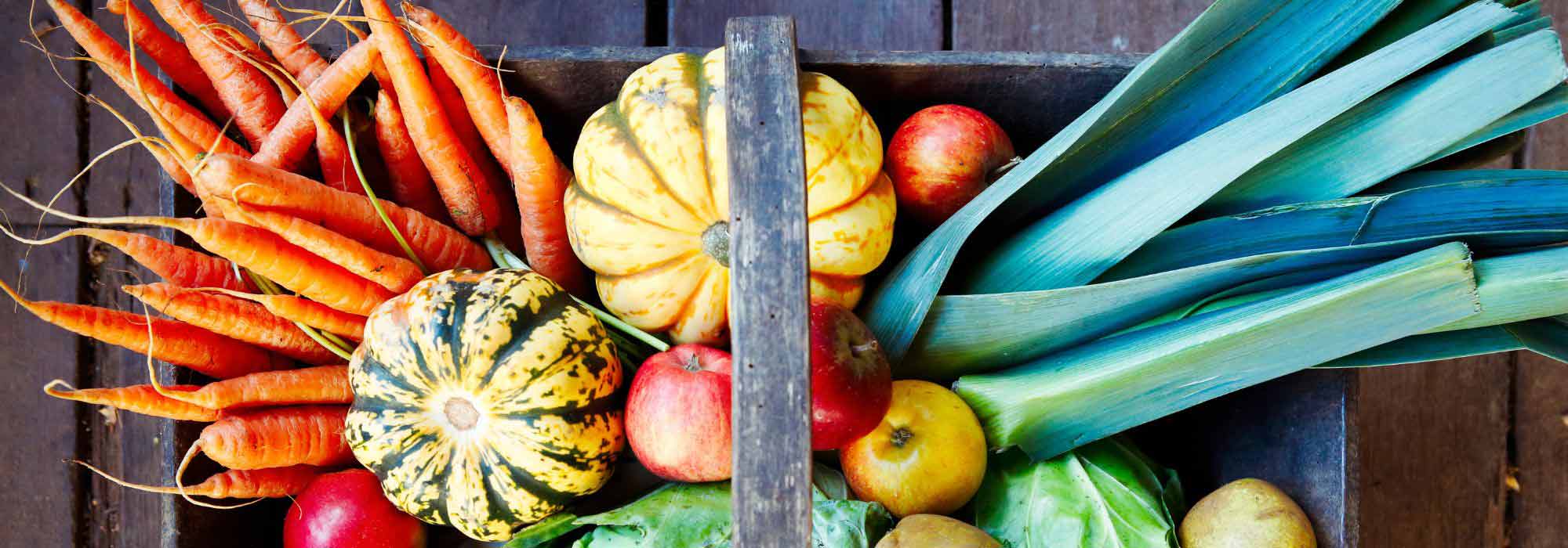 De moestuinkalender - oktober