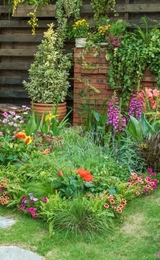 Ontdek onze selectie tegen lage prijzen