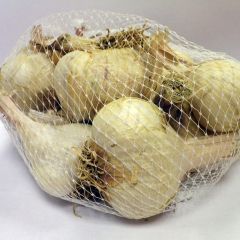 Knoflook Germidour (pootgoed)