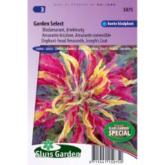 Amaranthus Garden Select (zaad) - Rode klaroen