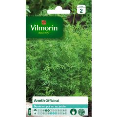 Dille Vilmorin - Anethum graveolens